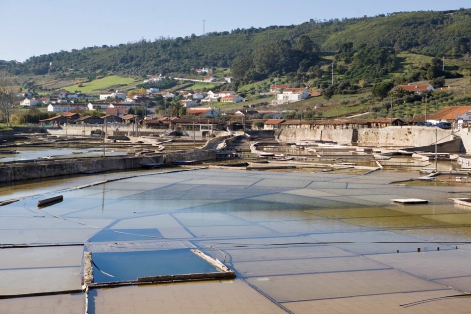Sal sem mar à vista na zona de Rio Maior