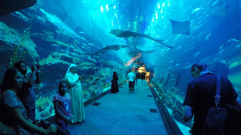 Dubai Aquarium_resultado