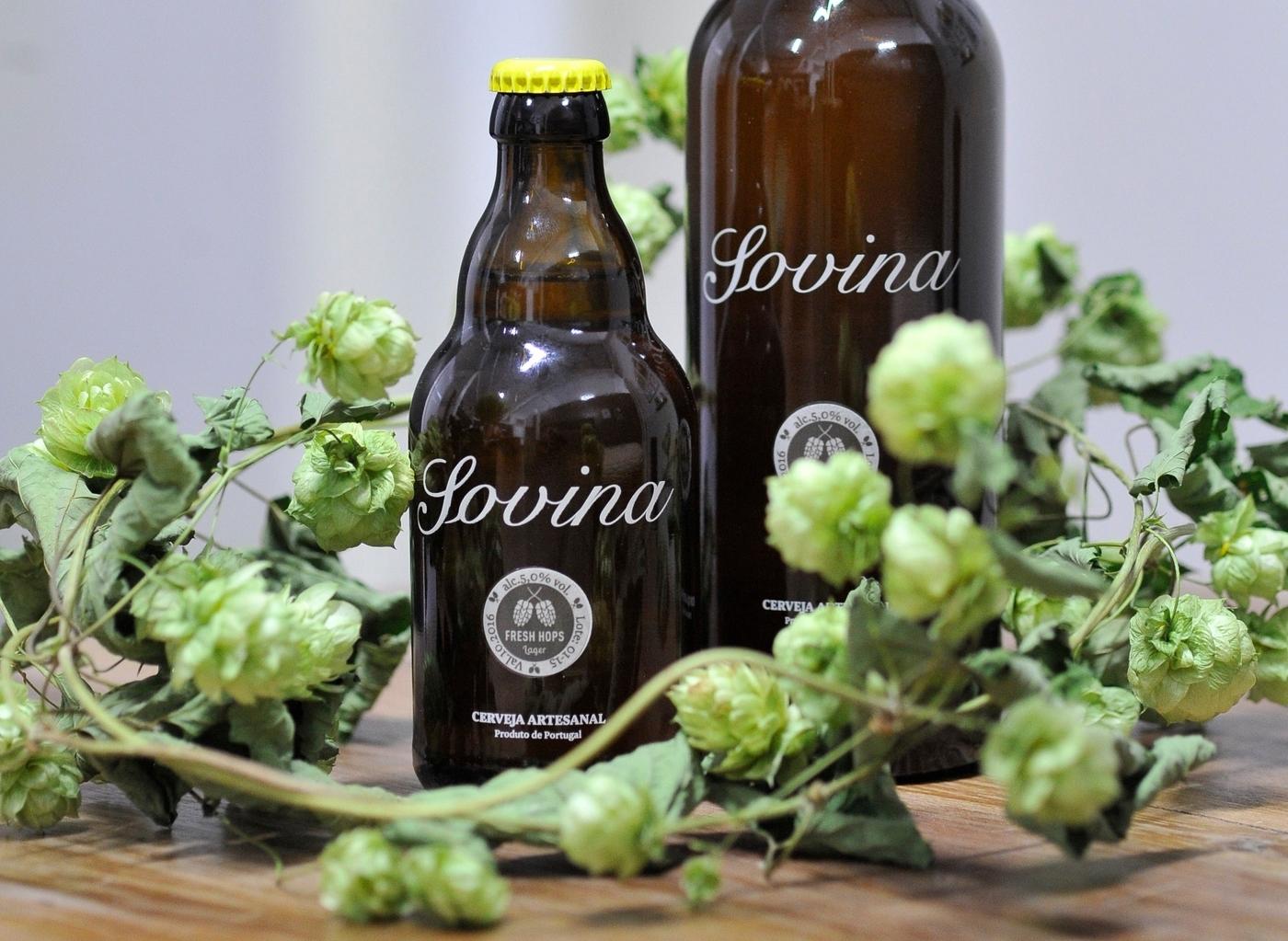 Sovina – Cerveja artesanal
