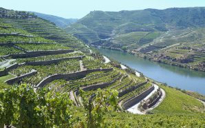 CP - Comboios de Portugal: Entre a paixão pelo vinho e as tradições do Douro