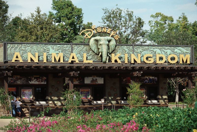 10. Disney’s Animal Kingdom Orlando Florida EUA_resultado