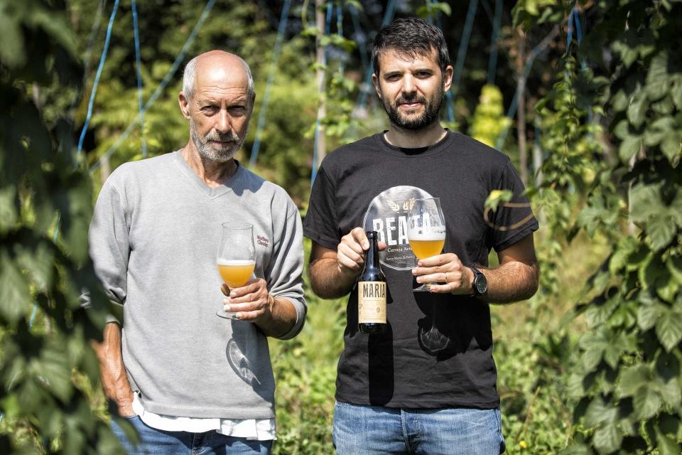 Um produtor de lúpulo de Santa Maria da Feira desafiou os cervejeiros da região a produzir uma cerveja para o Festival da Cerveja local