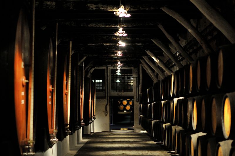 Caves de Vinho do Porto – Caves  Sandeman