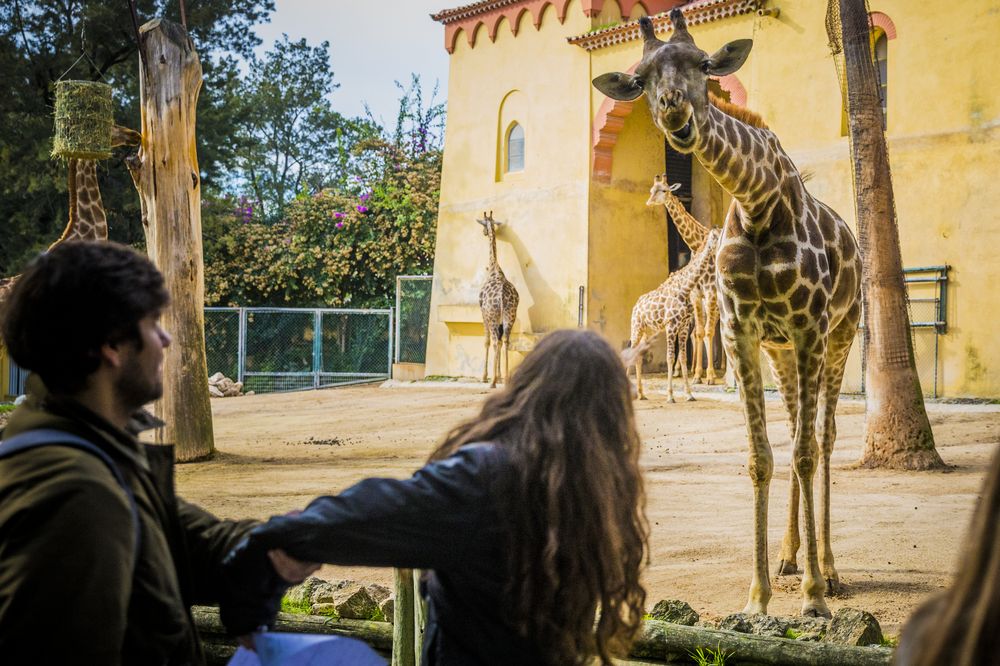 Zoo de Lisboa