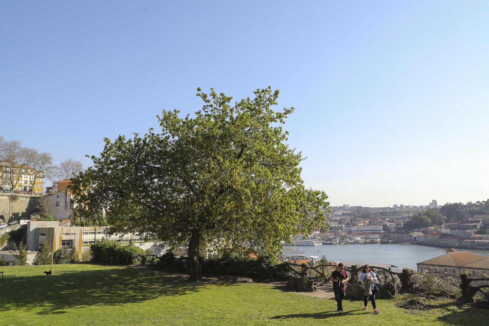 Reportagem sobre parques e jardins do Porto – Jardim das Virtudes
