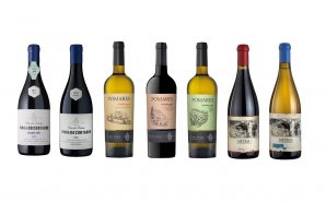 7 vinhos da região do Douro que vale a pena conhecer