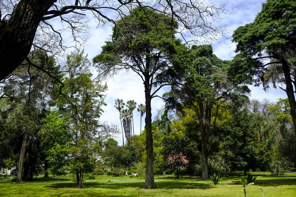 Jardim Botânico Tropical