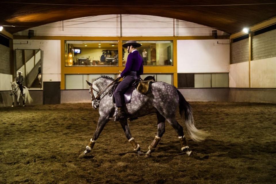 O que é o Horseball e como se joga - Centro Equestre Vale do Lima