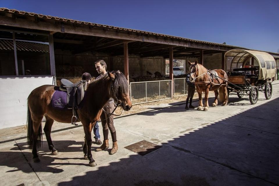 O que é o Horseball e como se joga - Centro Equestre Vale do Lima