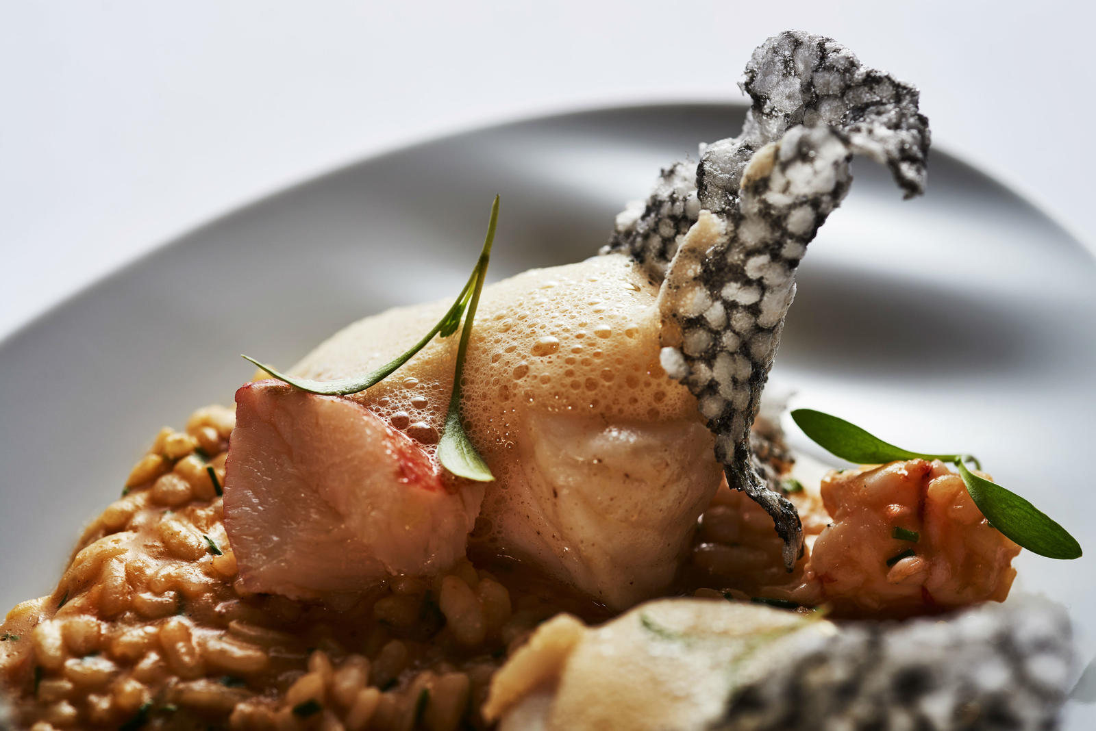 Barão de Fladgate_Tamboril com risotto de crustáceos medalhão de lavagante tapioca de tinta de choco e emulsão de ouriço-do-mar (1)