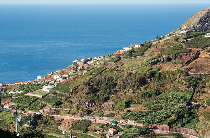 Madeira Wine Company_resultado