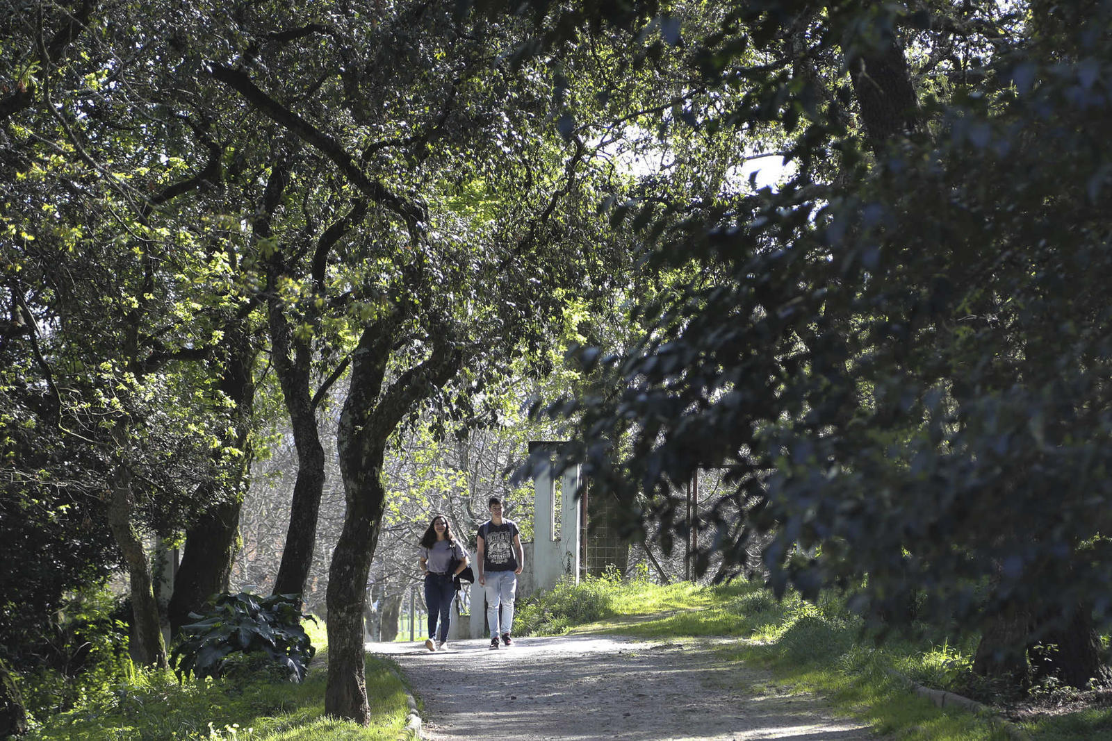 Reportagem sobre parques e jardins do Porto – Quinta do Covelo