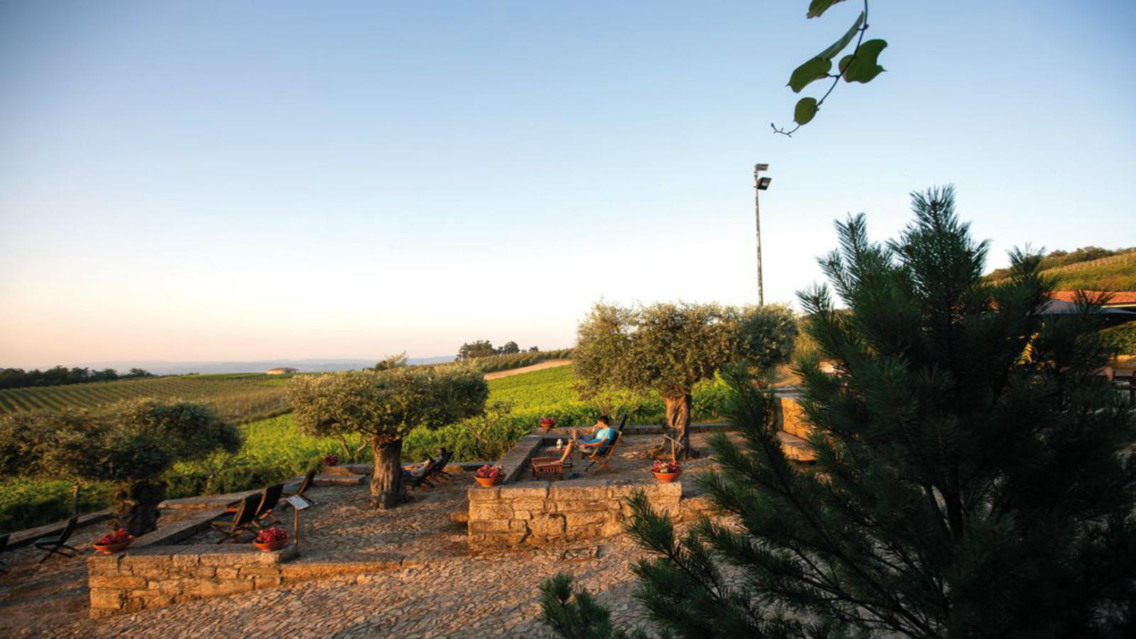 Lamego: um postal do Douro que merece um brinde