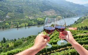 7 bons exemplos de vinhos feitos nas quintas do Douro