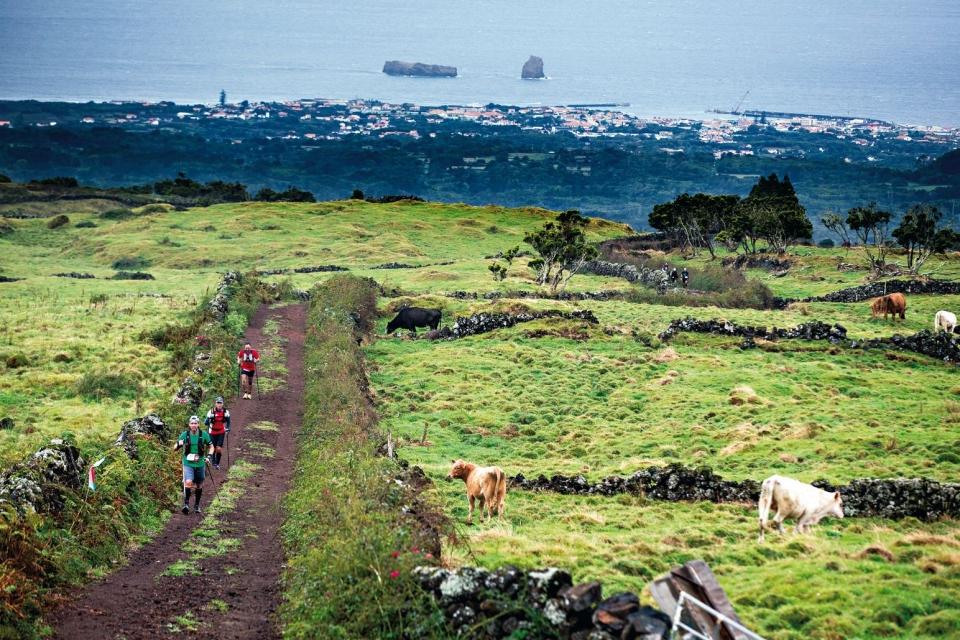 Roteiro de três ilhas dos  Açores – Faial / Pico / São Jorge