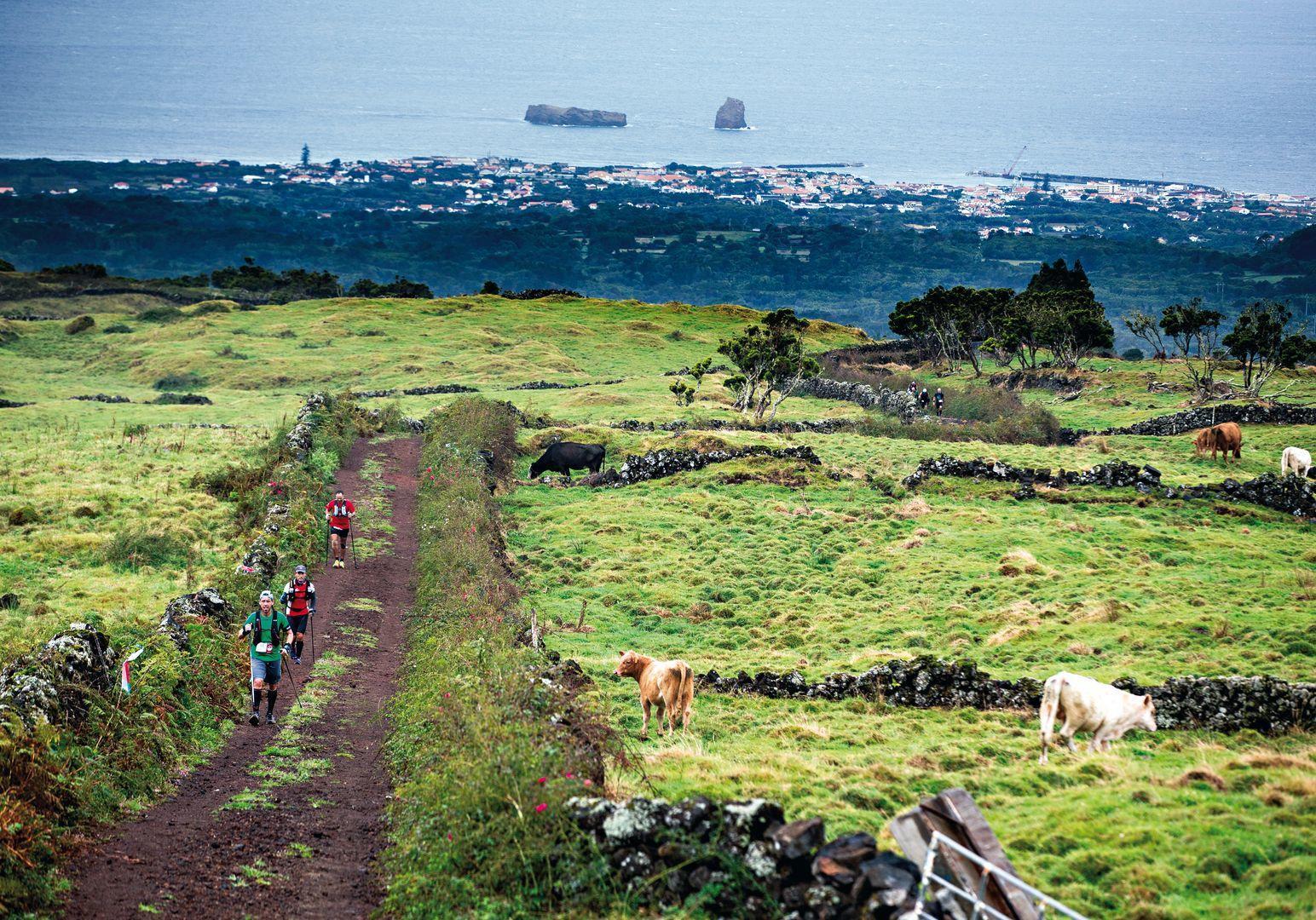 Roteiro de três ilhas dos  Açores – Faial / Pico / São Jorge