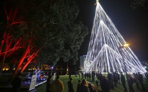 As 5 maiores árvores de Natal do país para ver no fim de semana