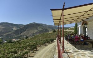 Douro: as visitas às vinhas desta quinta são grátis até fevereiro