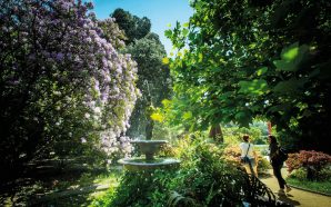 Porto: 7 ideias para um dia inteiro junto ao Jardim da Cordoaria