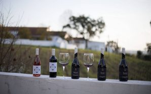 Monte da Bica: gin e vinhos cheios de amor pelo Alentejo