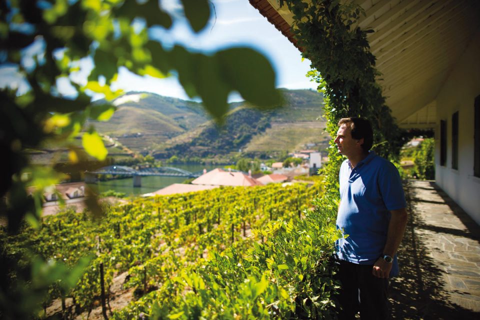 Produtores de vinhos do porto e Douro fornecem álcool-gel aos hospitais