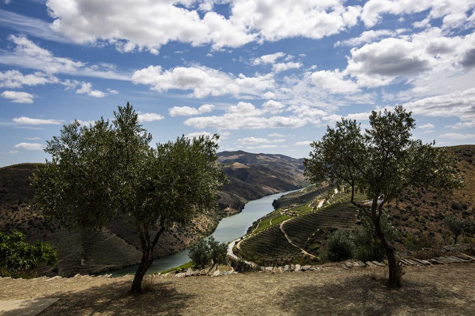 Parque Arqueológico do Vale do Côa