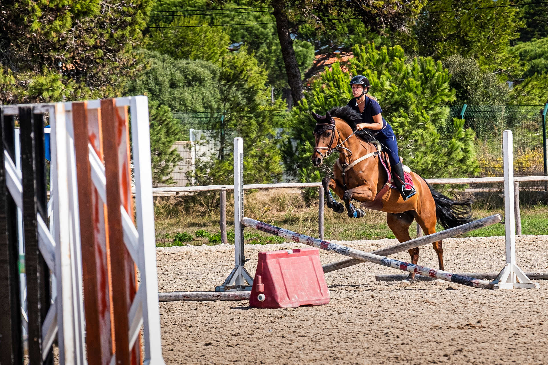 O que você vê? O cavalo anda para frente ou vai para trás? . . . . . . . .  A maioria das pessoas vê ele andando para trás, entretanto, a