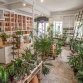 Três lojas novas e tradicionais em Lisboa para comprar plantas para a casa