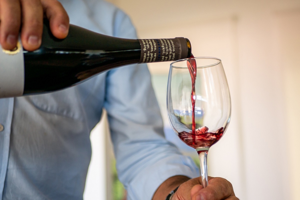 Centenas de vinhos da Beira Interior ganham loja online com entregas
