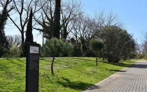 Novo parque do Porto tem 13 hectares e milhares de espécies botânicas