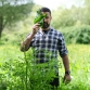 Ricardo Dias Ferreira: o chef que está a trazer as ervas daninhas de volta à mesa