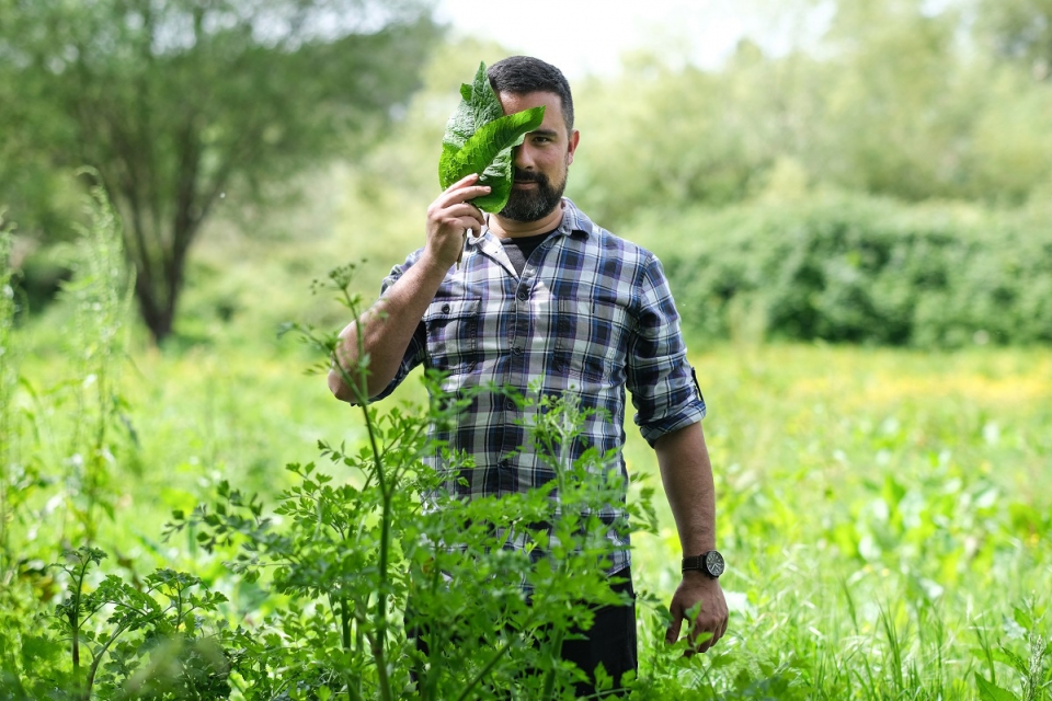 Ricardo Dias Ferreira: o chef que está a trazer as ervas daninhas de volta à mesa