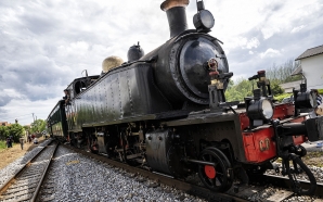 Comboio Histórico do Vouga a vapor vai ter duas viagens…