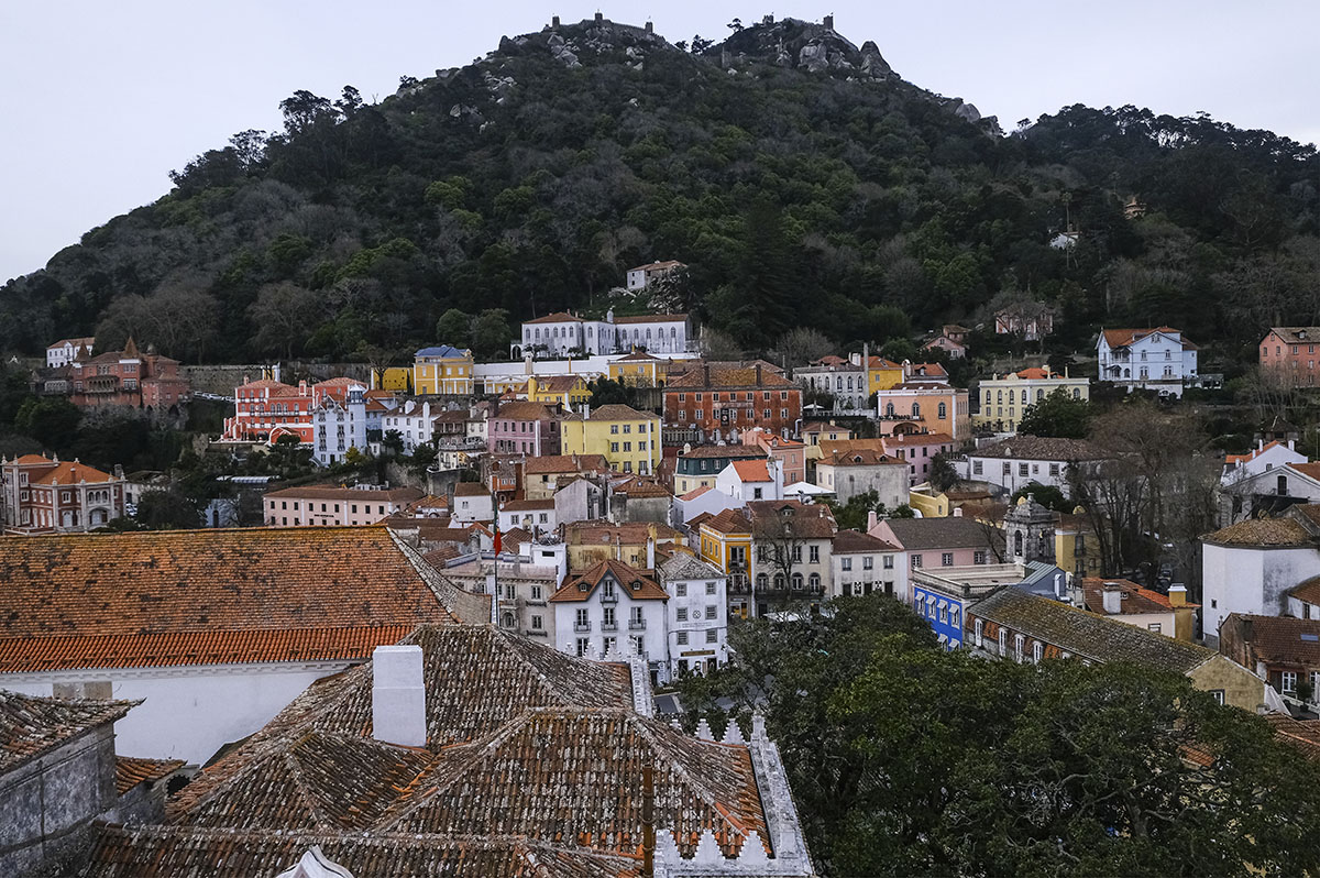 Exposições do São João de Braga continuam de portas abertas