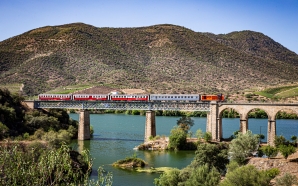 Verão no Douro: um roteiro de comboio pelo vale vinhateiro