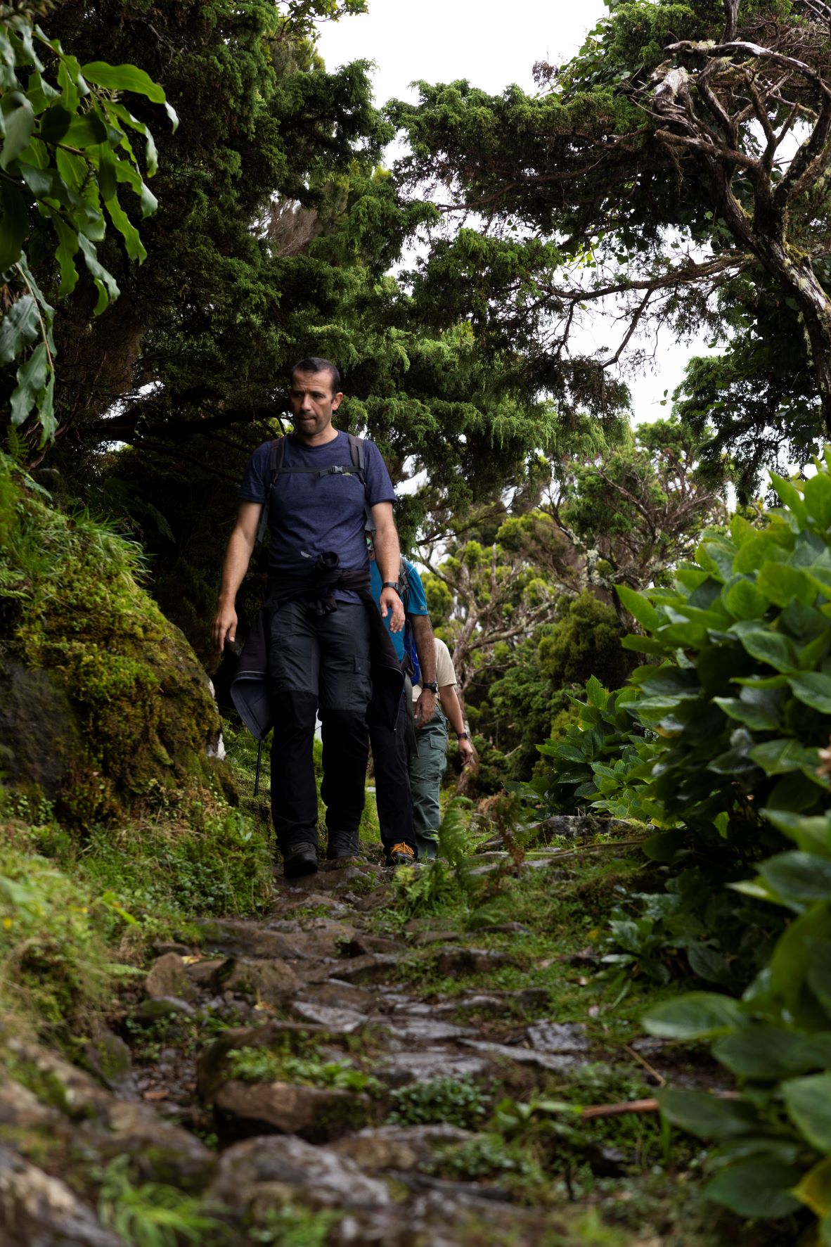 São Jorge: Entre o mar e a montanha, no coração dos Açores