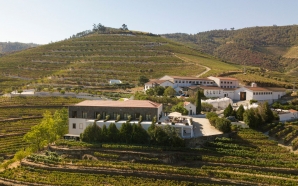The Vine House, o Douro à janela de uma casa…