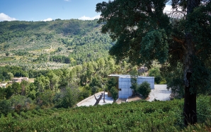 Vidago Villa: vinhos transmontanos de excelência