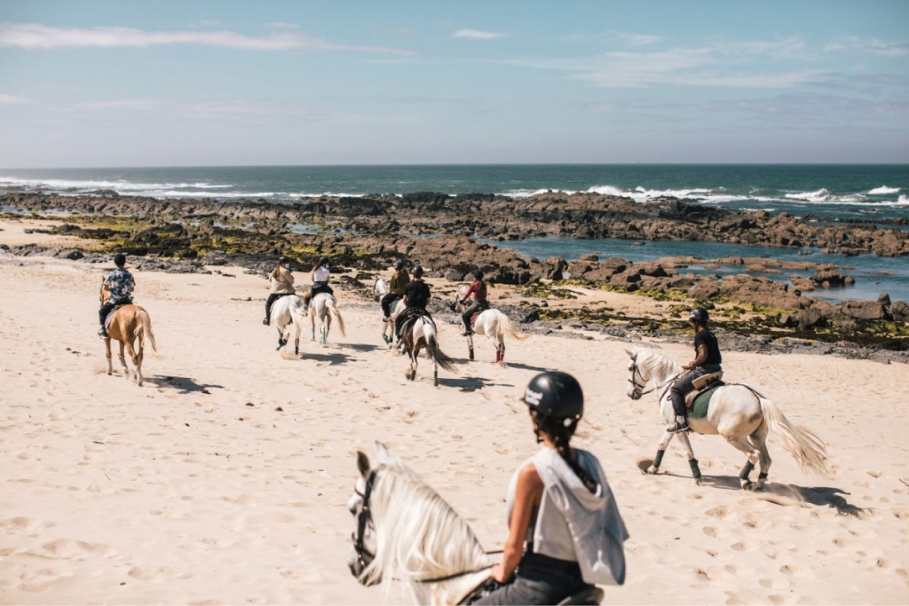 Percurso a cavalo em La Mata 1 hora preço desde 15€ 